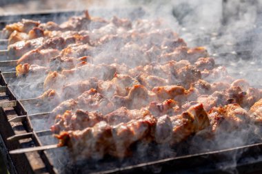 Geleneksel Gürcü Mtsvadi, kömürleri dumanla kızart. Shashlik.