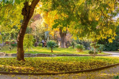 Sonbaharda Tiflis 'te halka açık bir park. Güzel sonbahar manzarası. Georgia