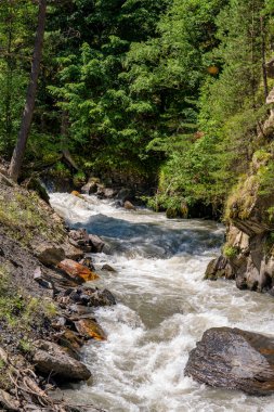 Gürcistan 'ın Khevsureti kentindeki güzel bir dağ nehri vadisi. Seyahat