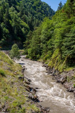 Gürcistan 'ın Khevsureti kentindeki güzel bir dağ nehri vadisi. Seyahat