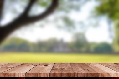 perspective wooden board over blurred green garden and trees