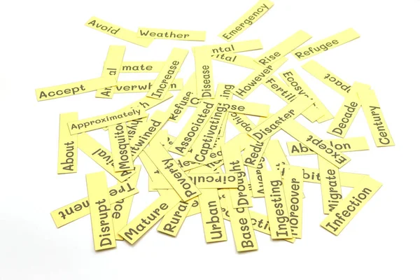 Isolated English Vocabulary Flashcards White Background — Stock Photo, Image