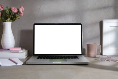 Front view of laptop computer, coffee cup, stationery and potted plant on grey table. Feminine workplace.