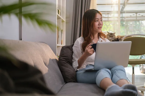 Pleasant young woman sitting on couch at home and using laptop. Technology, remote work and communication.