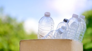 Karton kutuda geri dönüşüm için plastik şişeler. Atık ayıklama, ekoloji ve çevre koruma kavramı.