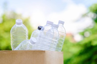Karton kutuda geri dönüşüm için plastik şişeler. Atık ayıklama, ekoloji ve çevre koruma kavramı.