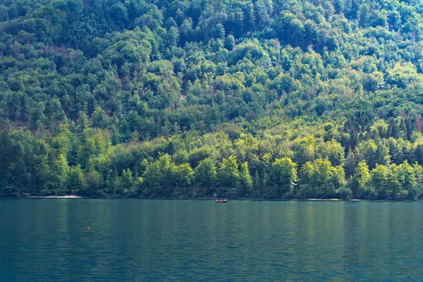 Slovenya 'nın Bohinj Gölü - 19 Ağustos 2018: Bazı insanlar Bohinj Gölü turkuvaz suları ve çevresindeki verimli ormanları kayıkla gezerken ferahlatıcı bir manzaranın keyfini çıkarıyorlar
