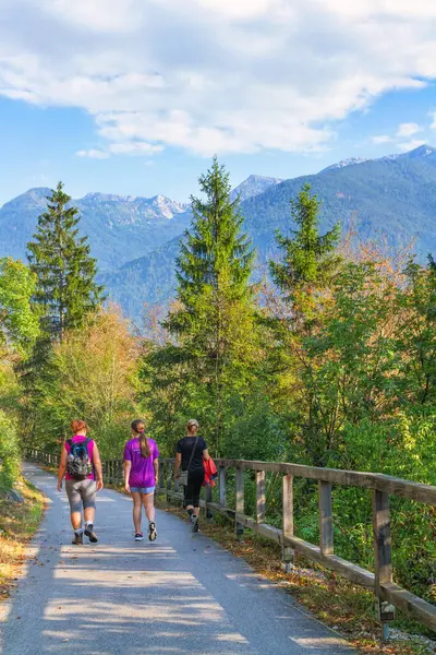 Bohinj, Slovenya - 19 Ağustos 2018: Bohinj Vadisi 'nin manzaralı doğal yolu boyunca bir yaz öğleden sonrasında bazı dağlık bitki örtüleri arasında üç yürüyüşçü yürüyor.