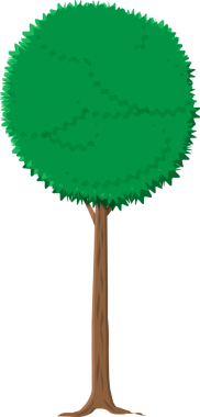 Kahverengi gövdeli kül ağacı