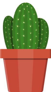 Kaktüs bitki çiçek tencerede