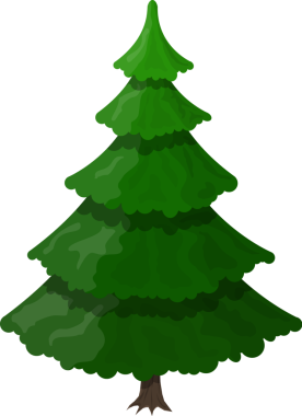 Spruce, noel Hep yeşil ağaç