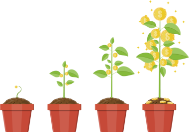 Para ağaç büyüyen. Büyüyen aşamaları