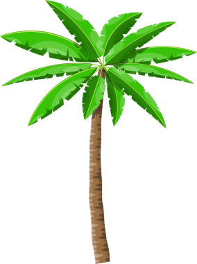 Tropik yeşil palmiye simgesi