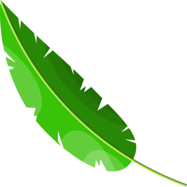 Tropik yeşil yapraklar, hindistan cevizi palmiyesi veya muz ağacı