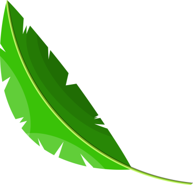 Tropik yeşil yapraklar, hindistan cevizi palmiyesi veya muz ağacı