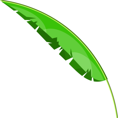 Tropik yeşil yapraklar, hindistan cevizi palmiyesi veya muz ağacı