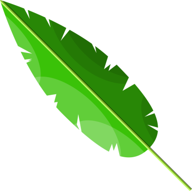 Tropik yeşil yapraklar, hindistan cevizi palmiyesi veya muz ağacı