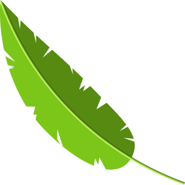 Tropik yeşil yapraklar, hindistan cevizi palmiyesi veya muz ağacı