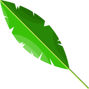 Tropik yeşil yapraklar, hindistan cevizi palmiyesi veya muz ağacı