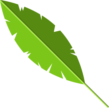 Tropik yeşil yapraklar, hindistan cevizi palmiyesi veya muz ağacı