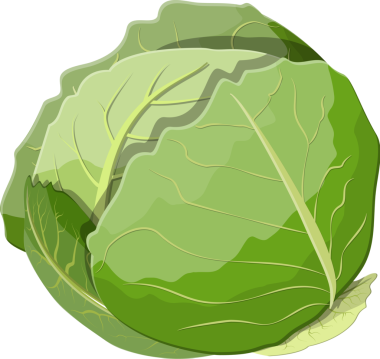 Yeşil yaprakları ile taze lahana.