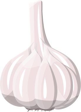 Beyaz izole sarımsak. Sarımsak sebze.