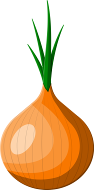 Olgun sebze acı soğan yeşil kök ile.