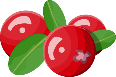 Çilek yeşil yaprakları ile