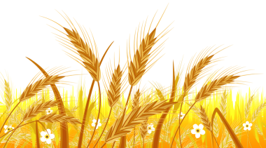 Buldozer İnşaat Makinesi simgesi