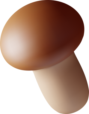 Olgun Mantar Şampiyonu