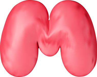 3d kırmızı alfabe balonu tek harf