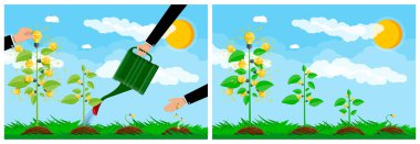 Adam dikme ve sulama fikri ampul ağaçları. İş büyümesi ve yatırım kavramı. Yeni proje için yaratıcı strateji geliştirme görselleştirmesi.