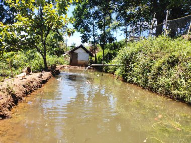 photo of pool water and small house