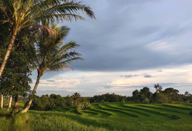 Photo of green mountains and rice fields with clear cloudy sky decoration