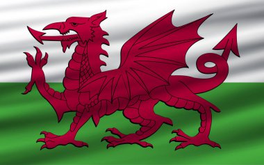 Dünya ülkelerinin bayrakları dalgalı kumaş dokusu