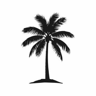 Tropikal Hindistan Cevizi Ağacı Siluetinin Güzelliği