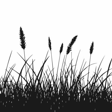 Vektör Vuruşlarında Siyah ve Beyaz Çimen