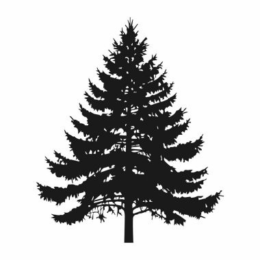 Minimalist Tasarımda Çam Ağacı Silüeti
