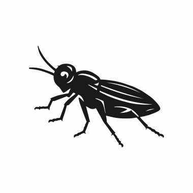 İlginç Detaylı Siyah Böcek Çizimi