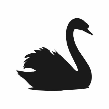 Zarif şekilli zarif siyah kuğu silueti