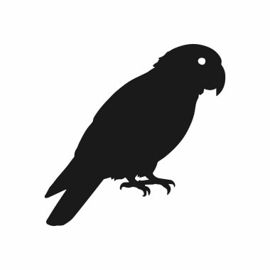 Modern Siyah ve Beyaz Kakadu Tasarımı