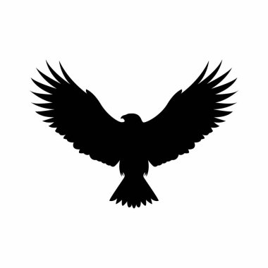 Kanatları Geniş Açılmış Görkemli Kartal Silueti