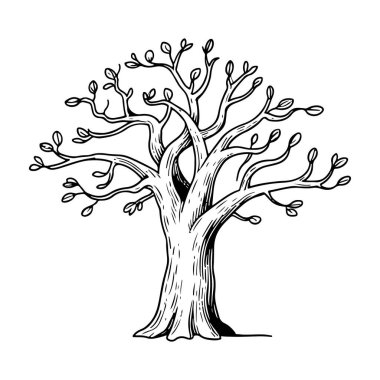 Yapraklı Zarif El Çizimi Ağaç