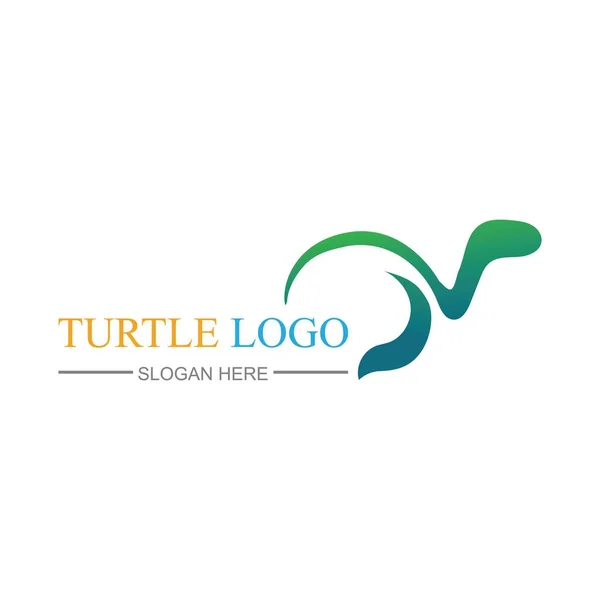 Projekt Logo Żółwia Wektor Ilustracja Szablon — Wektor stockowy