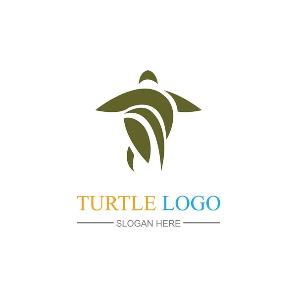 Tortuga Logo Diseño Vector Plantilla Ilustración — Archivo Imágenes Vectoriales