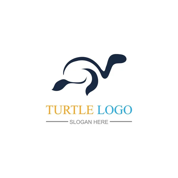 Turtle Logo Design Vektor Illustration Mall — Stock vektor