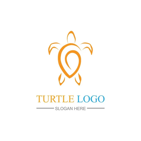 Turtle Logo Design Vector Illustration Template — Stock Vector