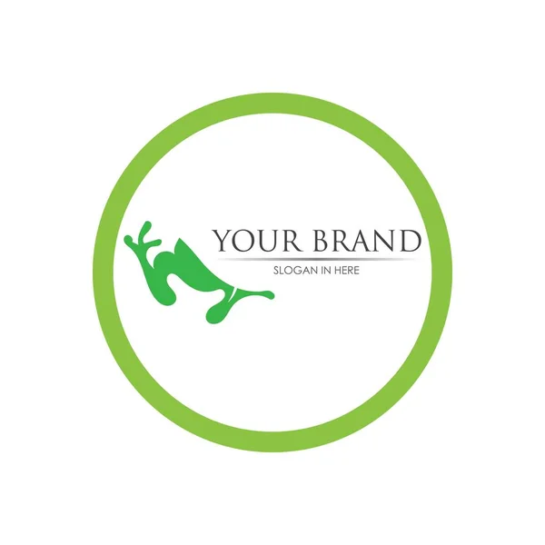 Sapo Logotipo Vetor Ilustração Design Modelo —  Vetores de Stock