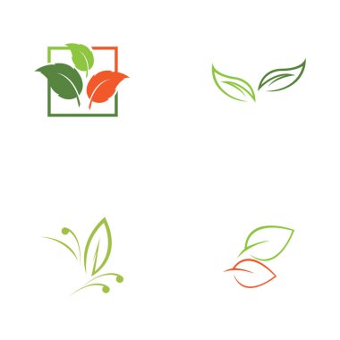 set of  leaf vector logo design, eco friendly concept