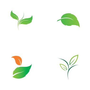 set of  leaf vector logo design, eco friendly concept